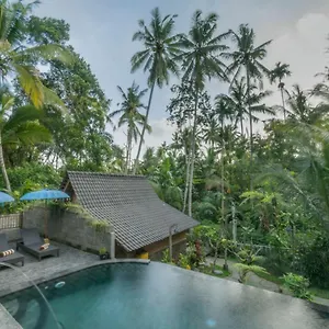 Sweet Orange Villa